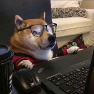 小针一扎帝王干拉