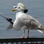 тихая чаечка....