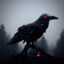 Raven_eye_