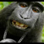 King under monkey