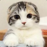 椎名真由理~