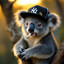 Koalero