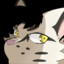 MEDIKITTY