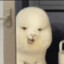 杰瑞本杰