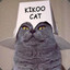 KIKOO CAT