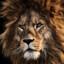 LEON