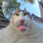 ẴℕĜỄŁ ༗ Ễб/\ӥ