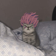 Hisoka