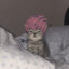 kittyhater