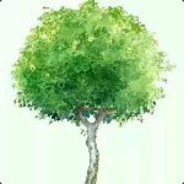 别看了是你爷爷