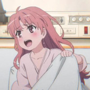 六瓣霜花与凤凰