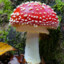 fungus