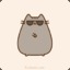 Pusheen The Cat