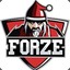 FORZE player CS.MONEY