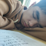 阳光彩虹小牛马