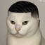 booise fade