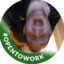 #OpenToWork | I flash my mates