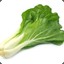 ✪ Bok Choy