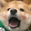 云雀