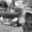 240km/h scenicpeek m_ciey