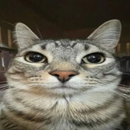 portly - steam id 76561198376613556