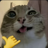 Avatar snapshot