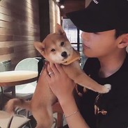 她说因为南方人没看过