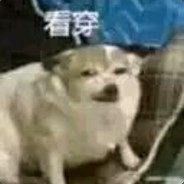 能摸你的小白兔嘛