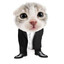 xION's avatar
