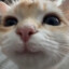 aaaaa