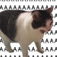 AAAAAAAAAAAA