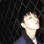 小了白了兔