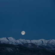 神仙也惹人间愁