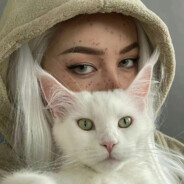 你是不是油猫饼