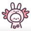 小胡子鲨鱼