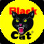 BlackCat