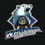 WhiteBear
