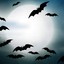 Moonsavebat