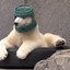 Arctic