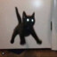 God Cat