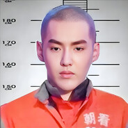 加拿大艺人（已上诉）