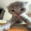Neuro ♡ ̆̈