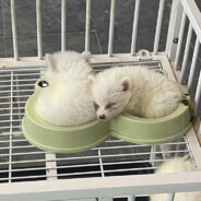 一个超级勾到你脸上怎