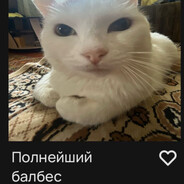 shixiteo avatar