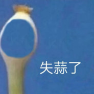 失蒜了