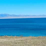 孝孝不老陪你到老