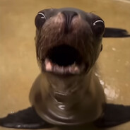 Филиппин Бой