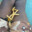 Meek Mill's French Fries avatar