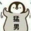 猛男《电死36只猪》