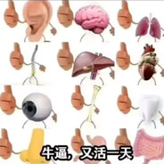 翻斗花园胡爷爷